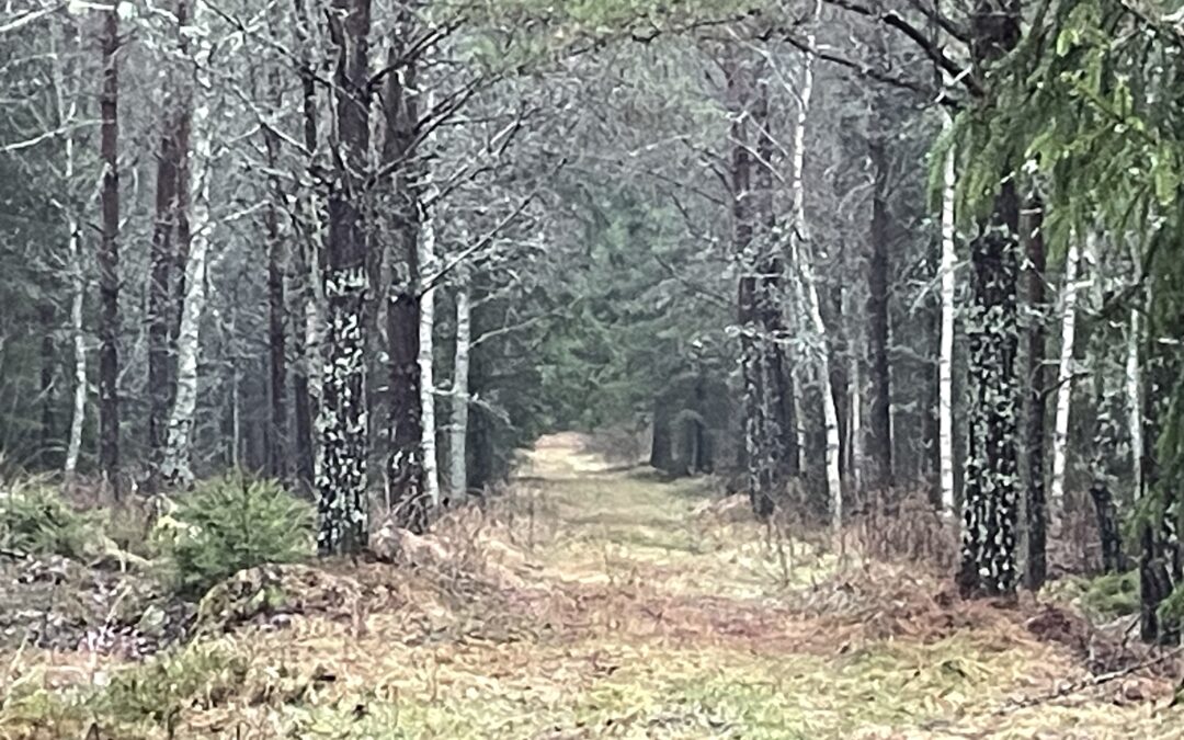 Vart är du på väg? Vilket är ditt nästa steg?