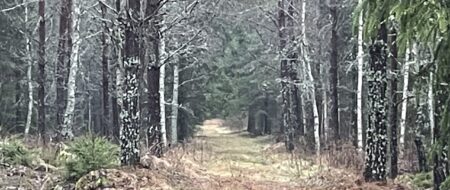 Vart är du på väg? Vilket är ditt nästa steg?